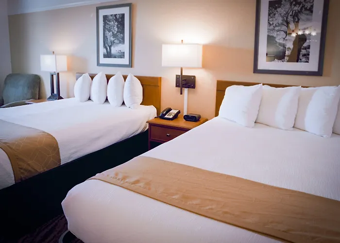 Pines & Motel 2*