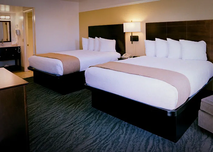 Pines & Motel 2*