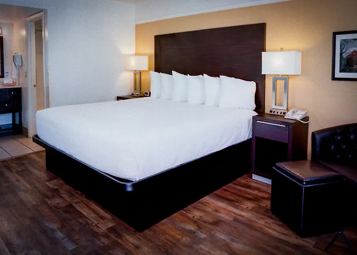 Motel Pines & Cottonwood