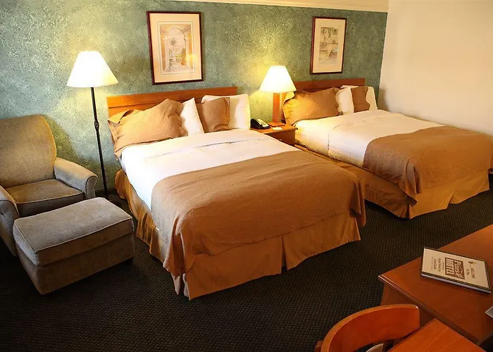 Pines & Motel 2*