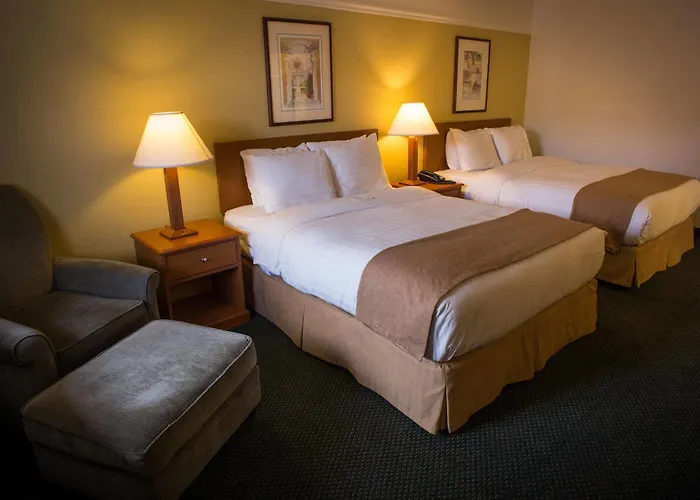 Motel Pines &
