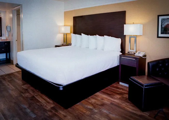 Pines & Motel Cottonwood